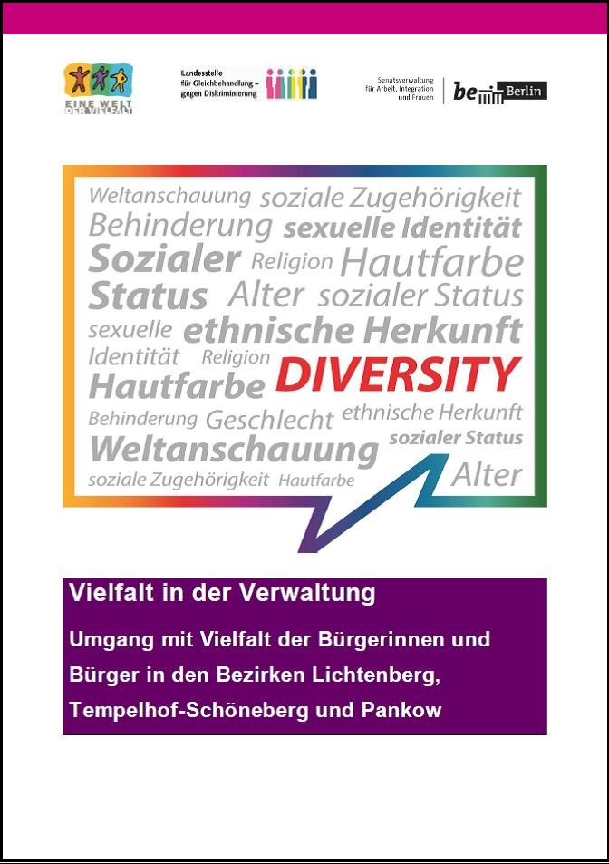 Cover der Bestandsaufnahme des Projekts ViVe - Vielfalt in der Verwaltung